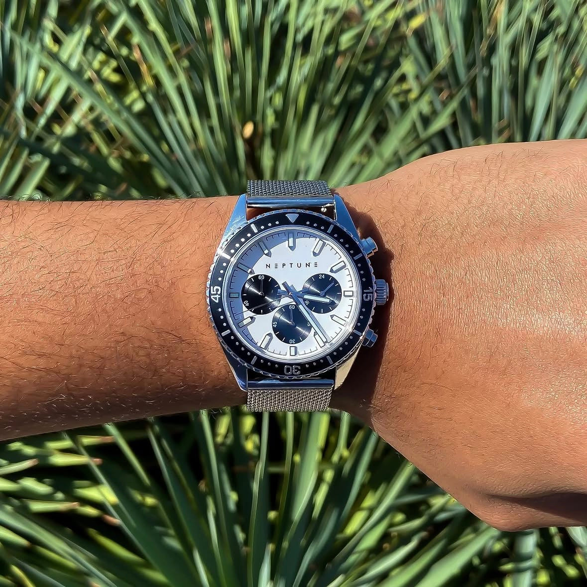 Panda - 42mm